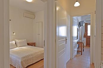 hippocampus_largeapartment.jpg